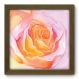 Quadro Decorativo - Flor - 096qdfm