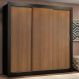 Guarda Roupa Casal Madesa Lyon Plus 3 Portas de Correr 4 Gavetas