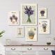 Kit 6 Quadros Lavanda Provençal