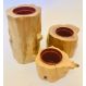 Vaso para Suculentas e Cactos