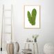 Quadro Botânica Polypodium Musaefolium 100x70 Caixa Marfim