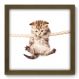 Quadro Decorativo - Gatinho - 123qdsm