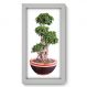 Quadro Decorativo - Bonsai - 281qddb