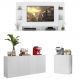Conjunto Sala de Estar Painel TV 60