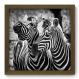 Quadro Decorativo - Zebras - 013qdsm