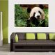 Painel Fotográfico Adesivo Animais 11- Pequeno 56x67cm