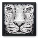 Quadro Decorativo - Leopardo - 137qdsp