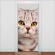 Adesivo para Porta Animais Gatinho com Olhos Castanhos-73X210Cm