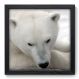 Quadro Decorativo - Urso Polar - 015qds