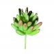 Folhagem Artificial Suculenta 12cm - D'Rossi