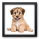 Quadro Decorativo - Cachorro - 186qdsp