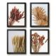 Kit 4 Quadros Decorativos Folhas E Flores Secas 33x24cm - com vidro