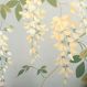 Papel de Parede Feature Wall 930503 com Estampa contendo Floral, Folhagem
