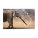 Painel Adesivo de Parede - Elefante - 193pn-M