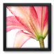 Quadro Decorativo - Flor - 33cm x 33cm - 013qnfbp