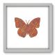 Quadro Decorativo - Borboleta - 252qdsb