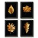 Kit 4 Quadros Decorativos Folhas Douradas 33x24cm - com vidro