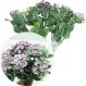 Kit 4 Plantas Kalanchoe Artificiais Flores Rosa Jardim 30cm