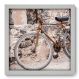 Quadro Decorativo - Bicicleta - 234qddb