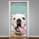Adesivo de Porta Pet Shop Cachorro Bulldog Fundo Azul com Detalhes-63X210Cm