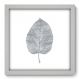 Quadro Decorativo - Folha - 33cm x 33cm - 024qndbb