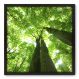 Quadro Decorativo - Árvore - 70cm x 70cm - 050qnpdp