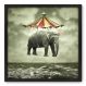 Quadro Decorativo - Elefante - 70cm x 70cm - 006qnsdp
