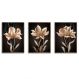 Kit com 3 Quadros Decorativos 70x50 cm Floral Dourado com Moldura Caixa Preta, na posição Vertical ideal para ambiente de Sala, Quarto e Hall.