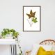 Quadro Botânica Hemionitis Palmata 100x70 Caixa Marrom