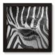 Quadro Decorativo - Zebra - 22cm x 22cm - 003qnsap