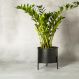 Suporte de Plantas com vaso Slim Humaitá Cor:Terra Cota