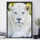 Quadro Decorativo Leão Branco-34x49Cm