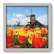 Quadro Decorativo - Holanda - 023qdmb