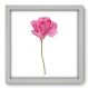 Quadro Decorativo - Rosa - 083qdfb