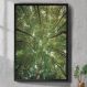 Quadro Decorativo Arvores Vista de Baixo Verdes-34x49Cm