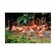 Painel Adesivo de Parede - Flamingos - 202pn-M