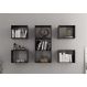 Conjunto de 7 Nichos Orlando Preto Onix