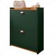 Sapateira Closet Vertical Organizadora 12 Pares Calçados Unissex Prateleira 2 Andares Gavetas Basculante Verde/Cedro - Lojas RPM