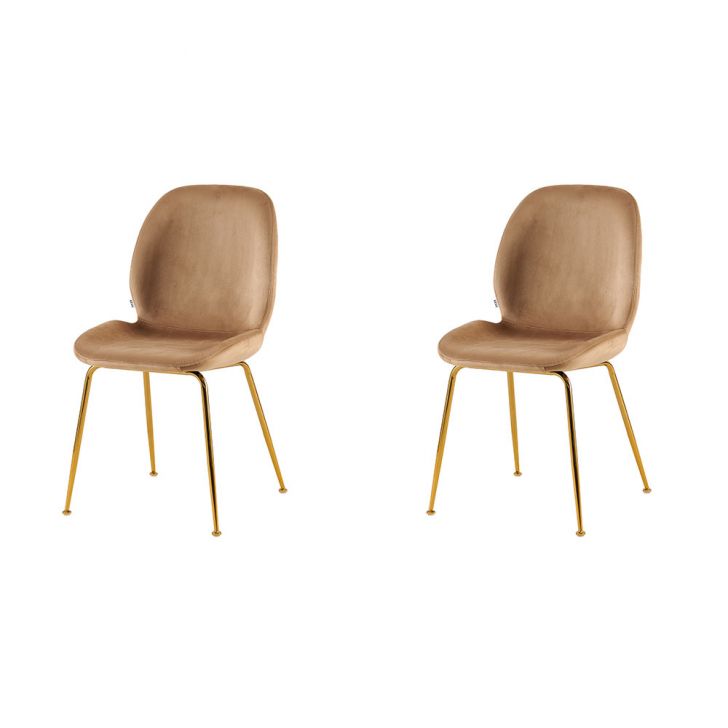 Conjunto com 2 Cadeiras Lille Beetle Marrom Base Dourada