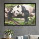 Quadro Decorativo Panda Dormindo-24x34Cm