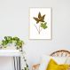 Quadro Botânica Hemionitis Palmata 86x60 Filete Marfim