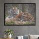 Quadro Decorativo Tigre Entre As Arvores-24x34Cm