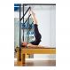 Painel Adesivo de Parede - Fitness - Pilates - 1569pnp