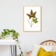 Quadro Botânica Hemionitis Palmata 43x30 Caixa Marfim