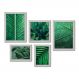 Kit Com 5 Quadros Decorativos - Folhas Natureza Verde - 087kq01b