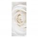 Adesivo Decorativo de Porta - Flor - Rosa Branca - 2510cnpt