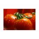 Painel Adesivo de Parede - Tomates - 274pn-M