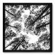 Quadro Decorativo - Árvores - 50cm x 50cm - 041qnpcp