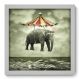 Quadro Decorativo - Elefante - 33cm x 33cm - 006qnsbb