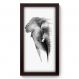 Quadro Decorativo - Elefante - 007qds